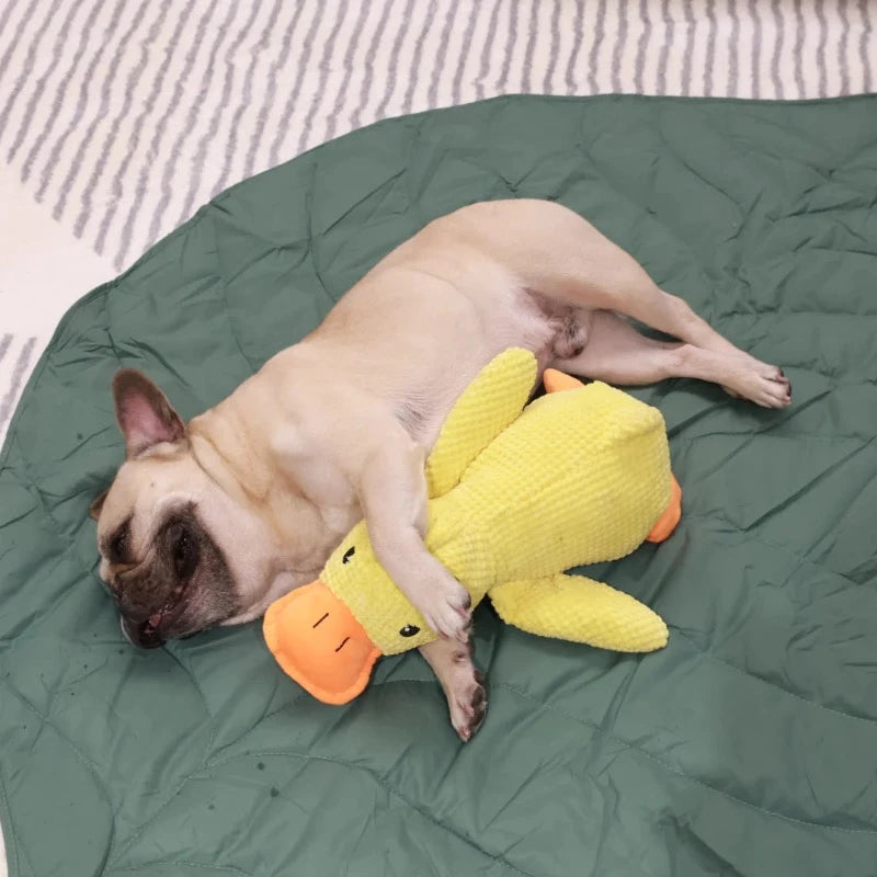 CALMING DUCK - Attic Puppy