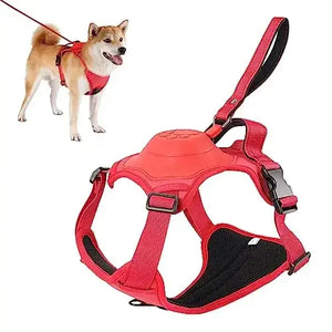 All-in-One Dog Harness & Retractable Leash Attic Puppy