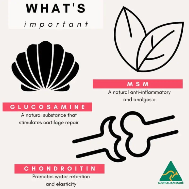 HIP JOINT POWDER FOR DOGS ROAST BEEF FLAVOR - Attic Puppy