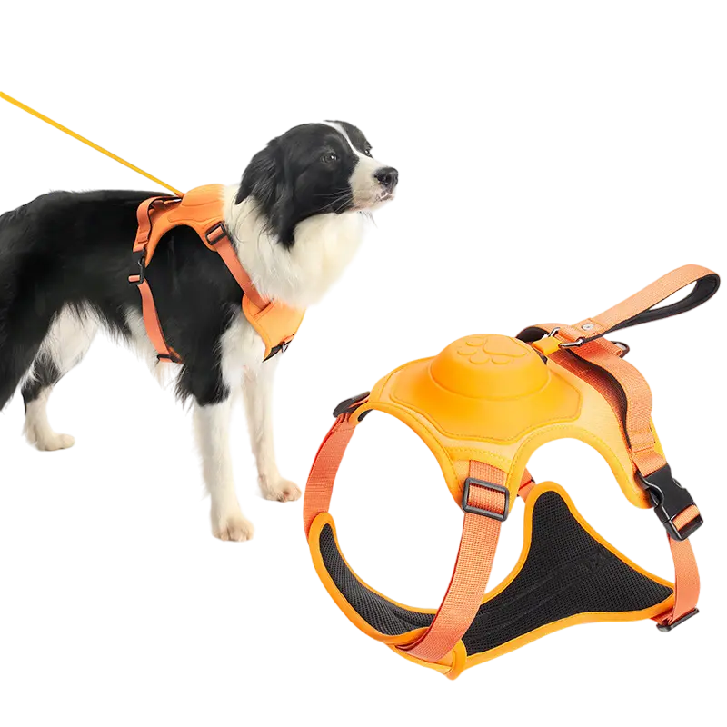 COMFY WALK HARNESS & LEASH - Attic Puppy