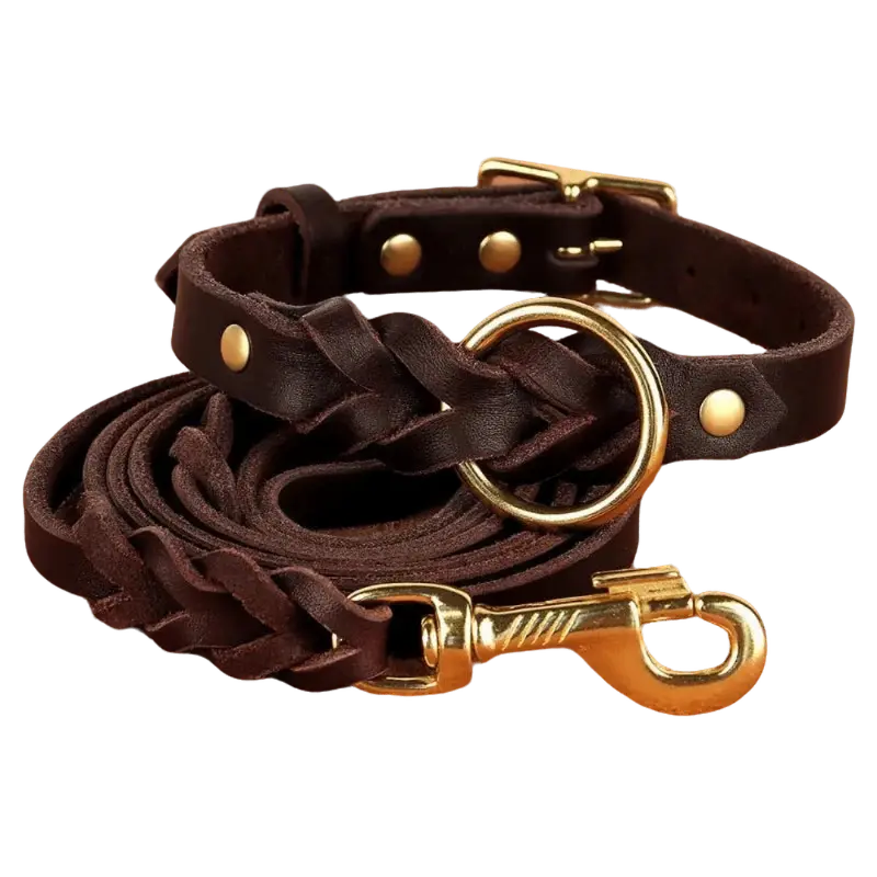 AUTHENTIC LEATHER CANINE COLLAR AND LEASH - Attic Puppy