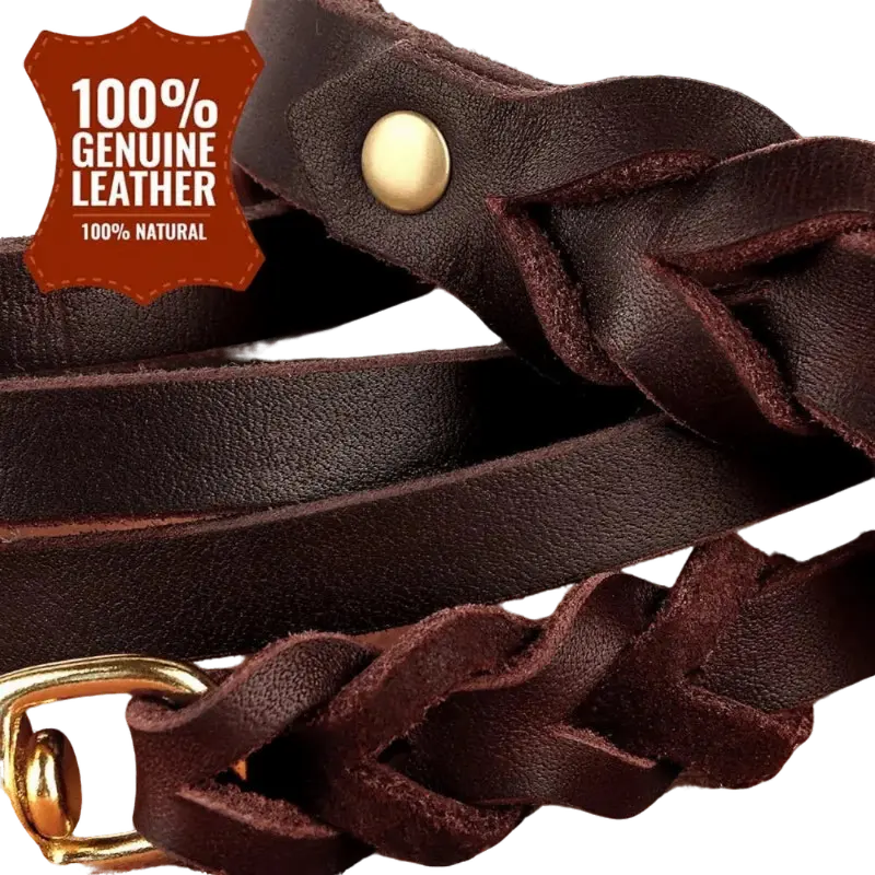 AUTHENTIC LEATHER CANINE COLLAR AND LEASH - Attic Puppy