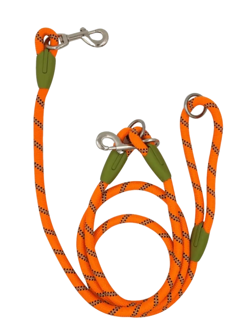 HANDS-FREE LEASH - Attic Puppy