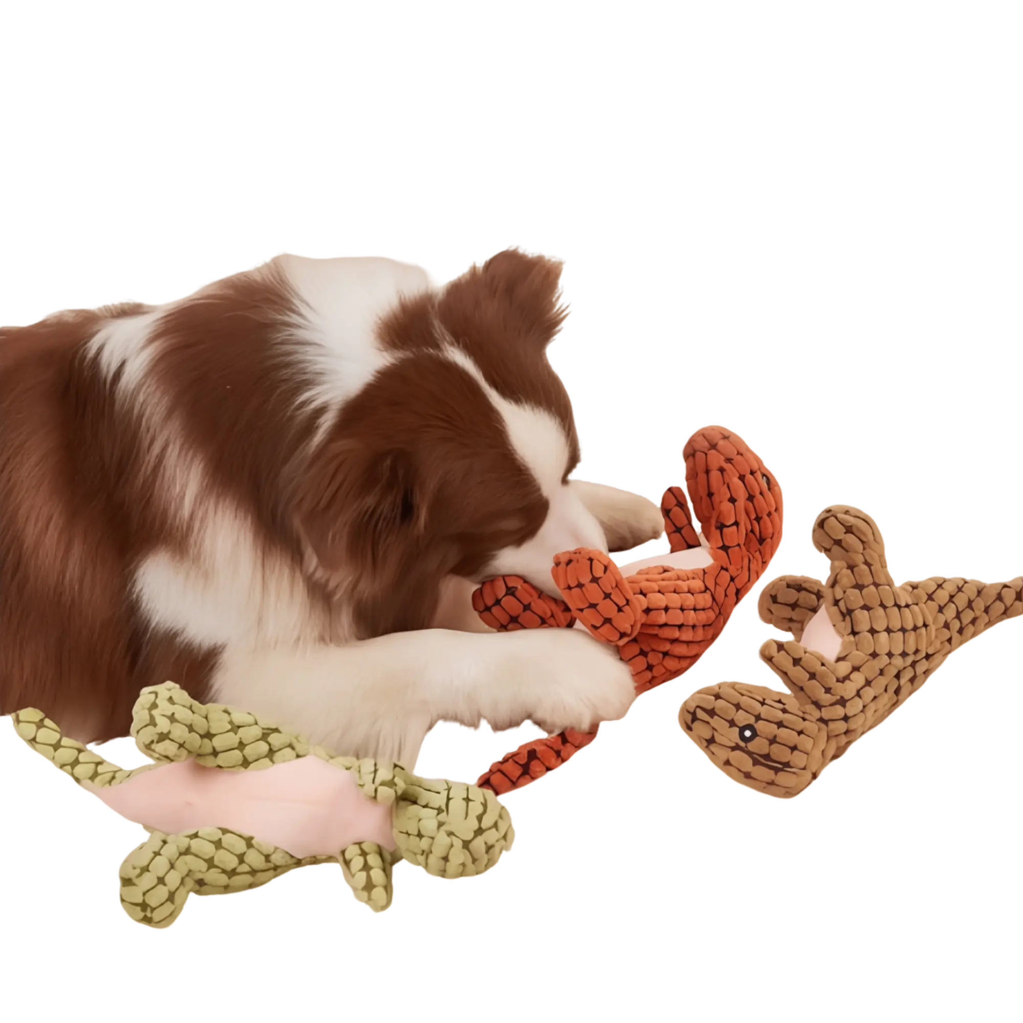 DINOBITE CHEWING PLUSH - Attic Puppy