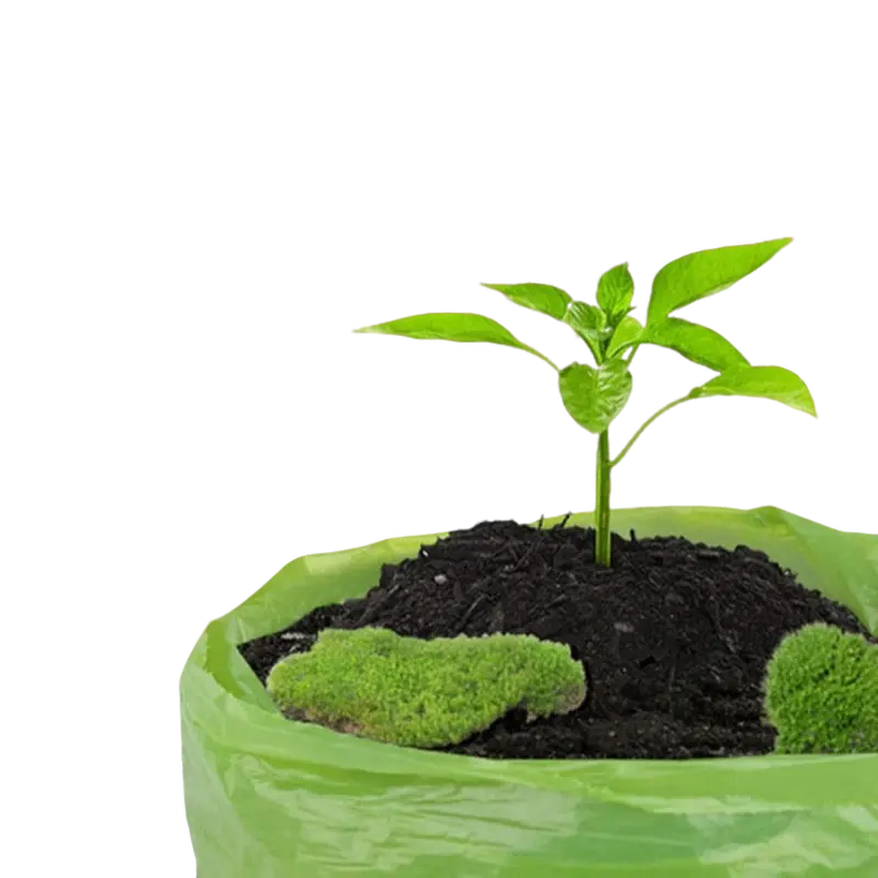 BIODEGRADABLE DOG POOP BAG - Attic Puppy