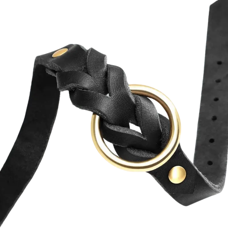 AUTHENTIC LEATHER CANINE COLLAR AND LEASH - Attic Puppy