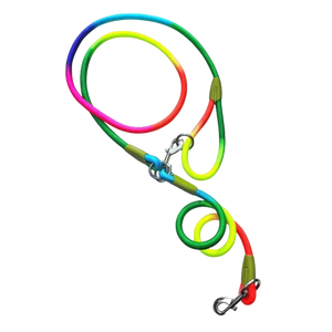 HANDS-FREE LEASH - Attic Puppy