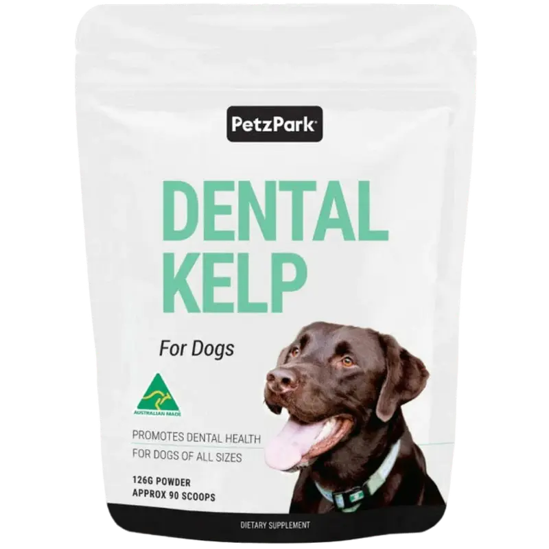 NATURAL DENTAL KELP FOR DOGS - Attic Puppy