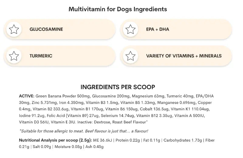 MULTIVITAMIN POWDER FOR DOGS ROAST BEEF FLAVOR - Attic Puppy