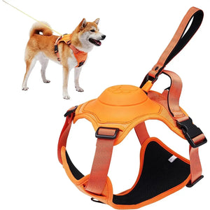 All-in-One Dog Harness & Retractable Leash Attic Puppy
