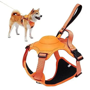 All-in-One Dog Harness & Retractable Leash Attic Puppy