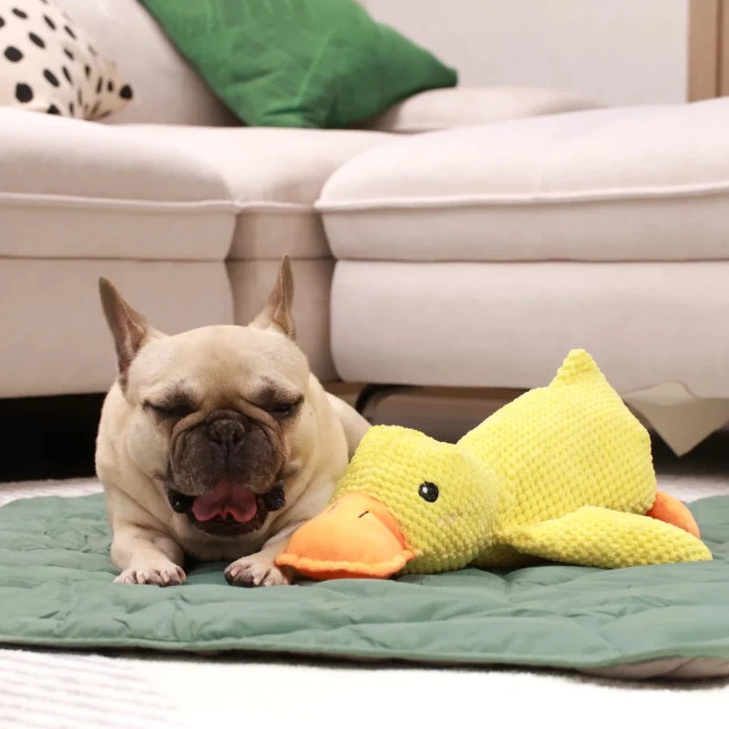 CALMING DUCK Attic Puppy