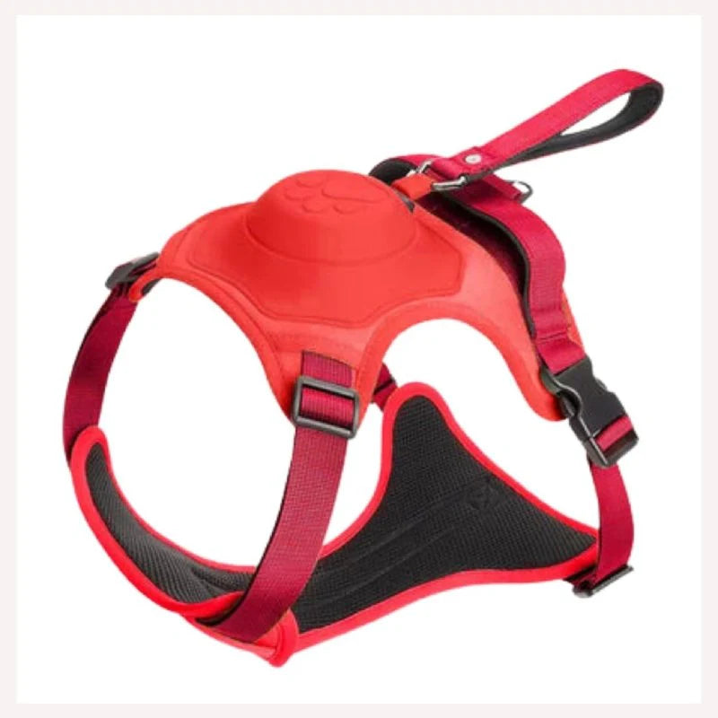 COMFY WALK HARNESS & LEASH Attic Puppy