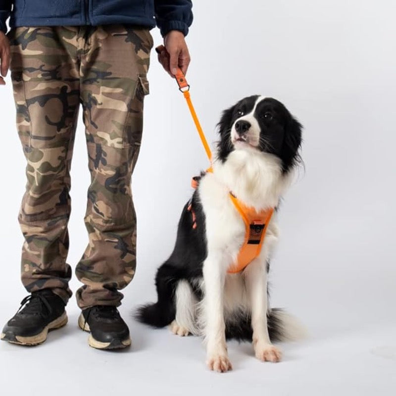 COMFY WALK HARNESS & LEASH Attic Puppy