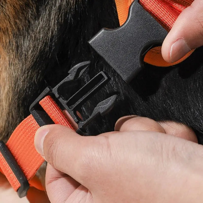 COMFY WALK HARNESS & LEASH Attic Puppy