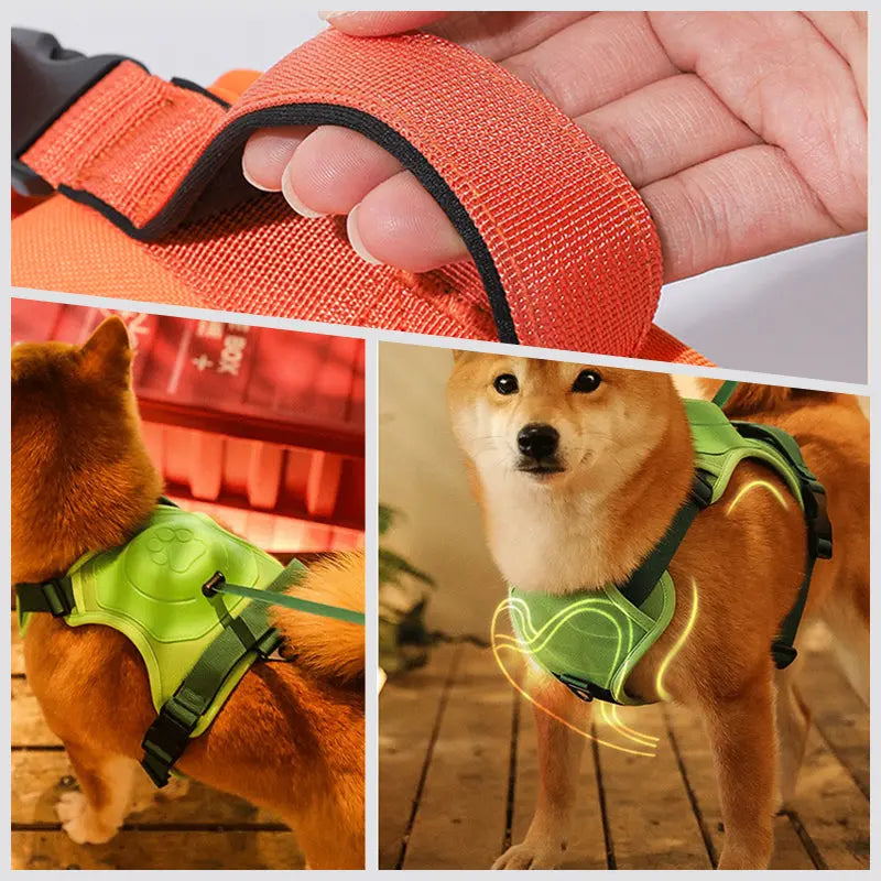 COMFY WALK HARNESS & LEASH Attic Puppy