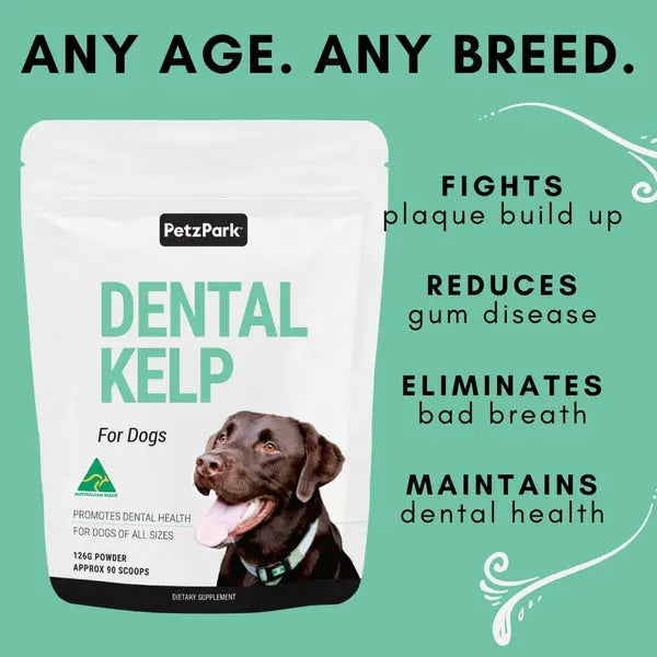 NATURAL DENTAL KELP FOR DOGS - Attic Puppy