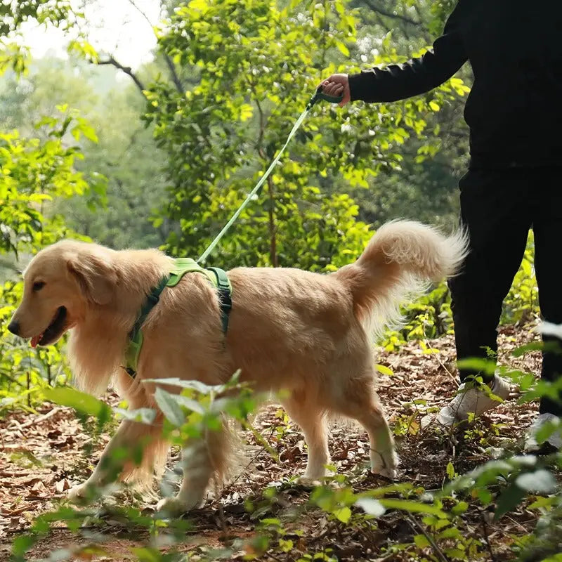 COMFY WALK HARNESS & LEASH Attic Puppy