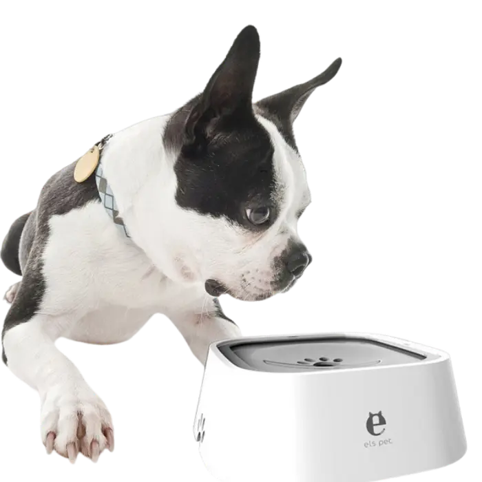 NO-SPILL WATER BOWL - Attic Puppy