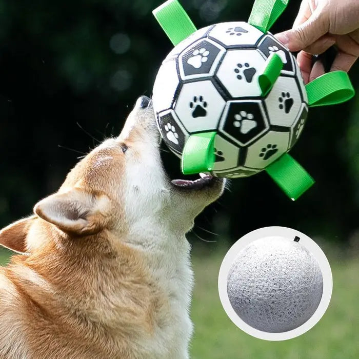 COLOURTABS BALL TOY - Attic Puppy