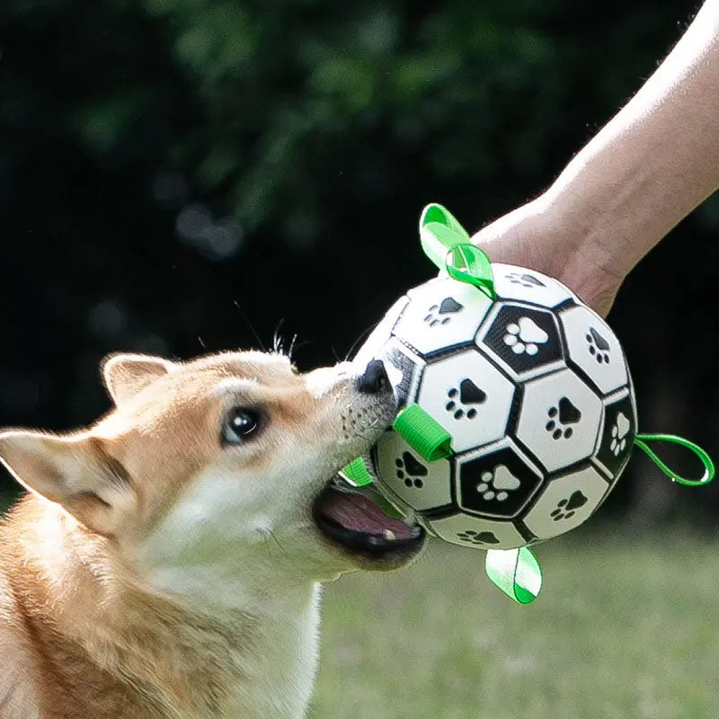 COLOURTABS BALL TOY - Attic Puppy