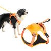 COMFY WALK HARNESS & LEASH - Attic Puppy