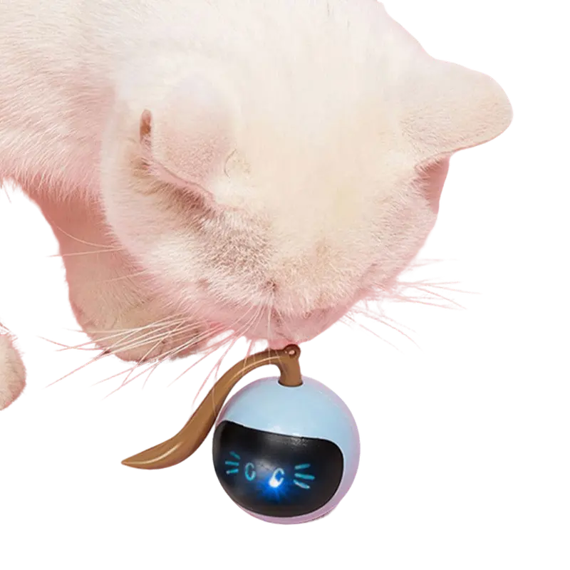 SELF ROTATING CAT TOY - Attic Puppy