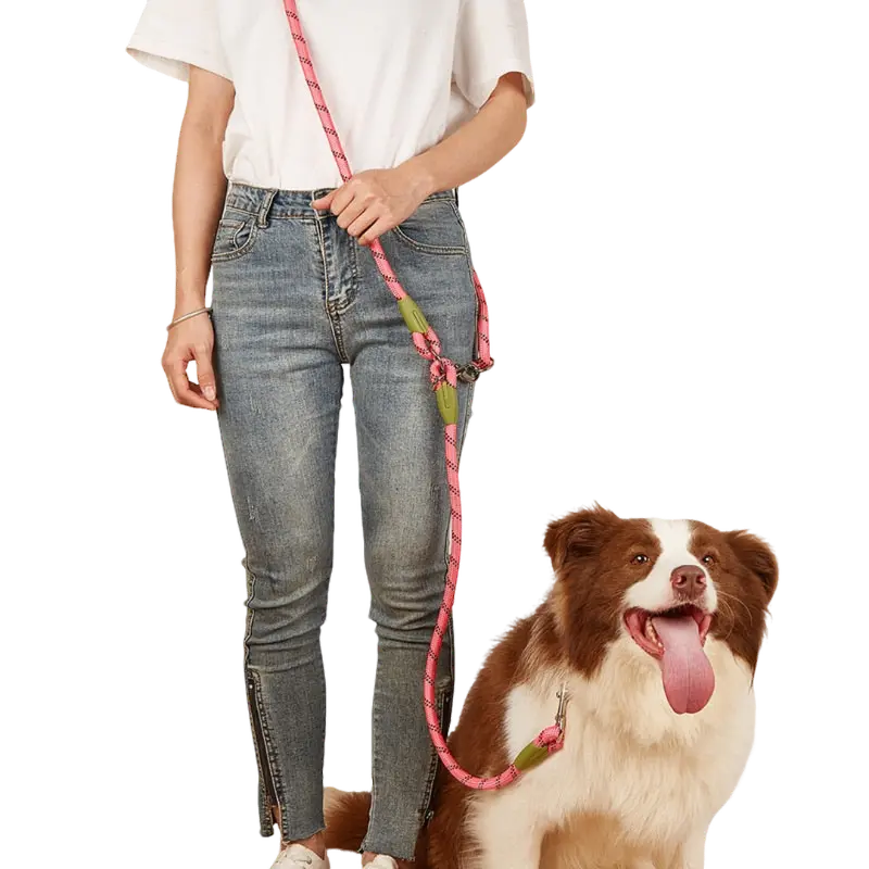 HANDS-FREE LEASH - Attic Puppy