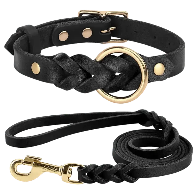 AUTHENTIC LEATHER CANINE COLLAR AND LEASH - Attic Puppy