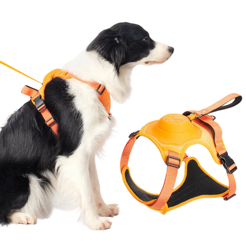 COMFY WALK HARNESS & LEASH Attic Puppy