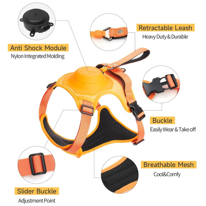 COMFY WALK HARNESS & LEASH - Attic Puppy