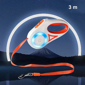 LED Flashlight Dog Leash - Attic Puppy