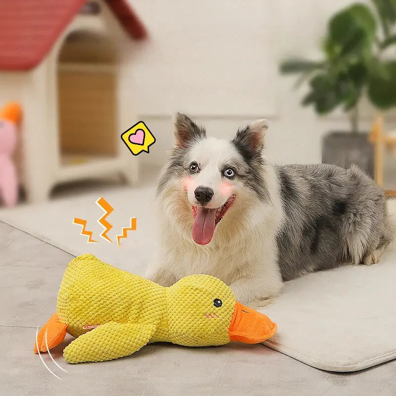 CALMING DUCK Attic Puppy