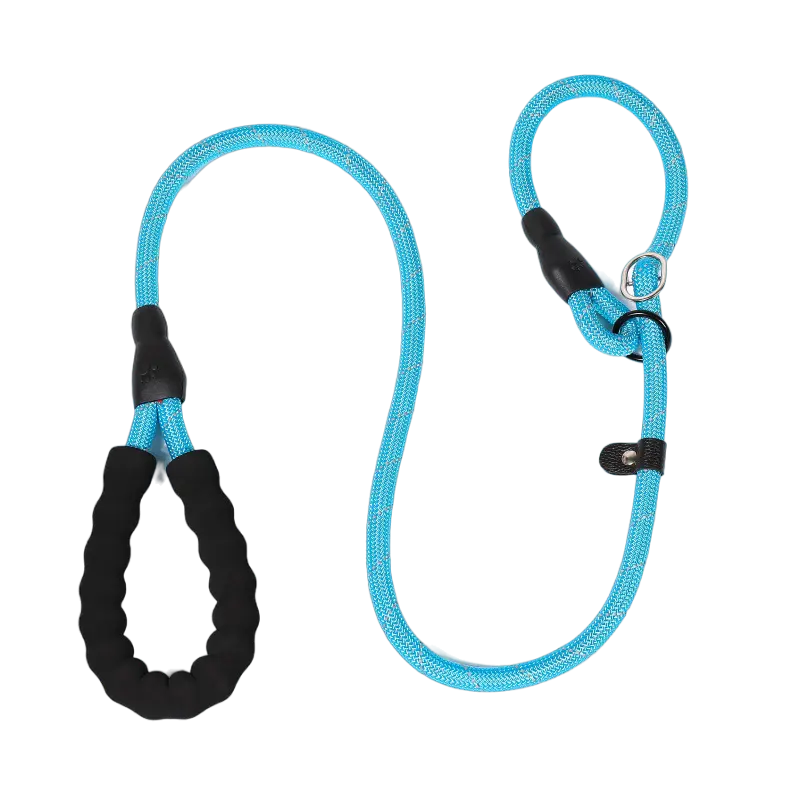 ANTI-PULL DOG LEASH - Attic Puppy