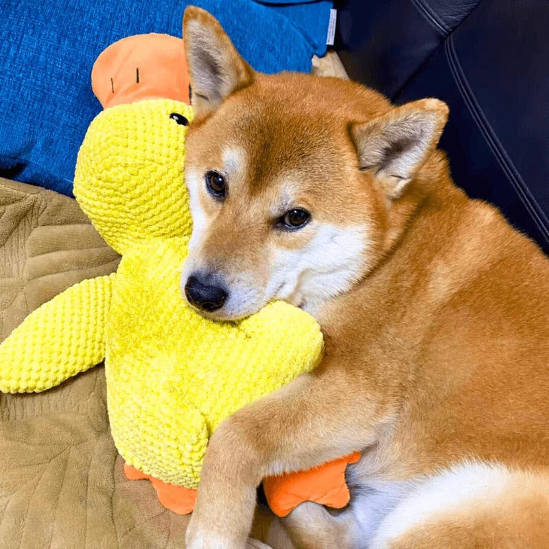 CALMING DUCK Attic Puppy