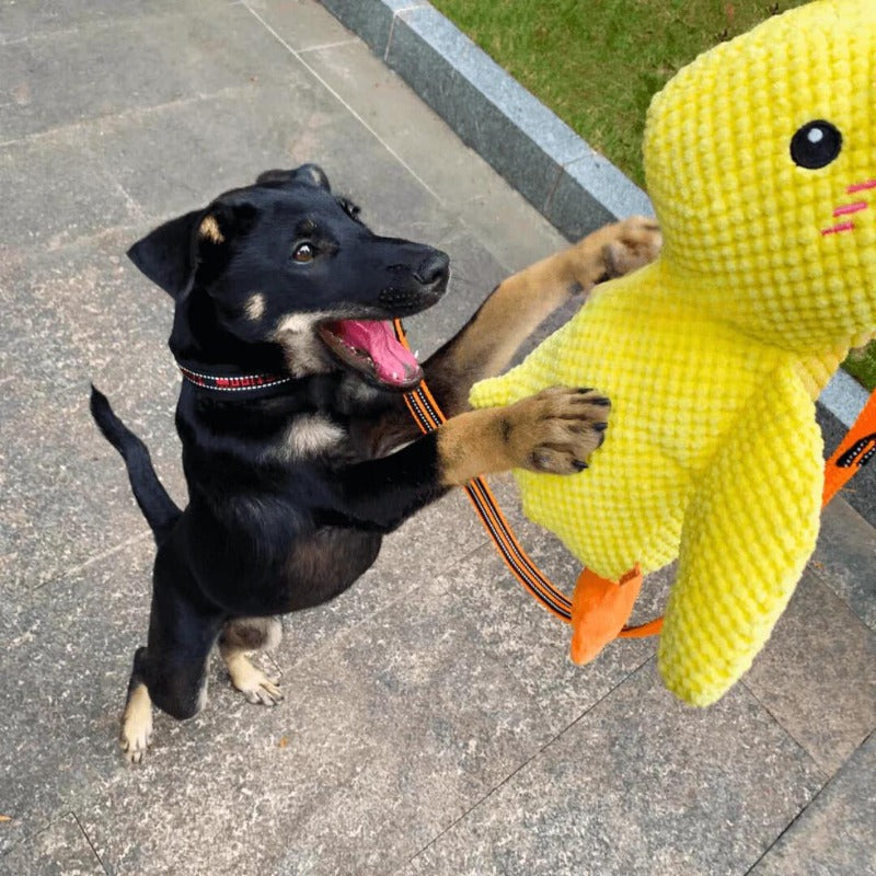 CALMING DUCK Attic Puppy