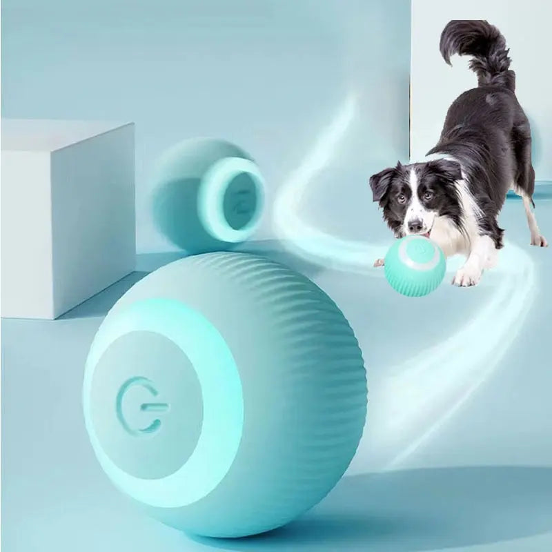 DANCING BALL TOY - Attic Puppy