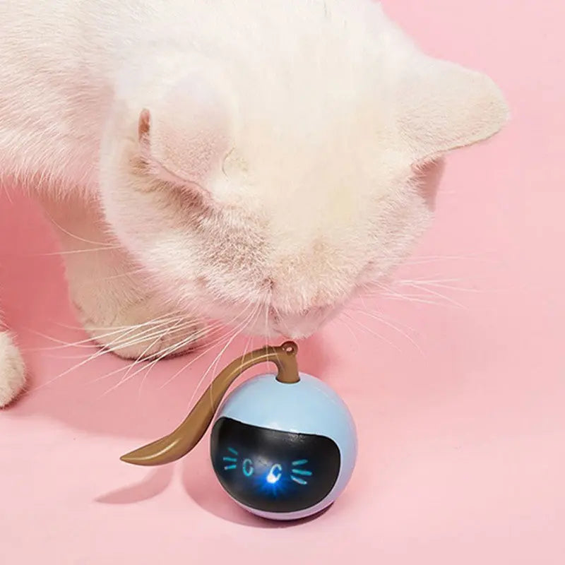 SELF ROTATING CAT TOY - Attic Puppy