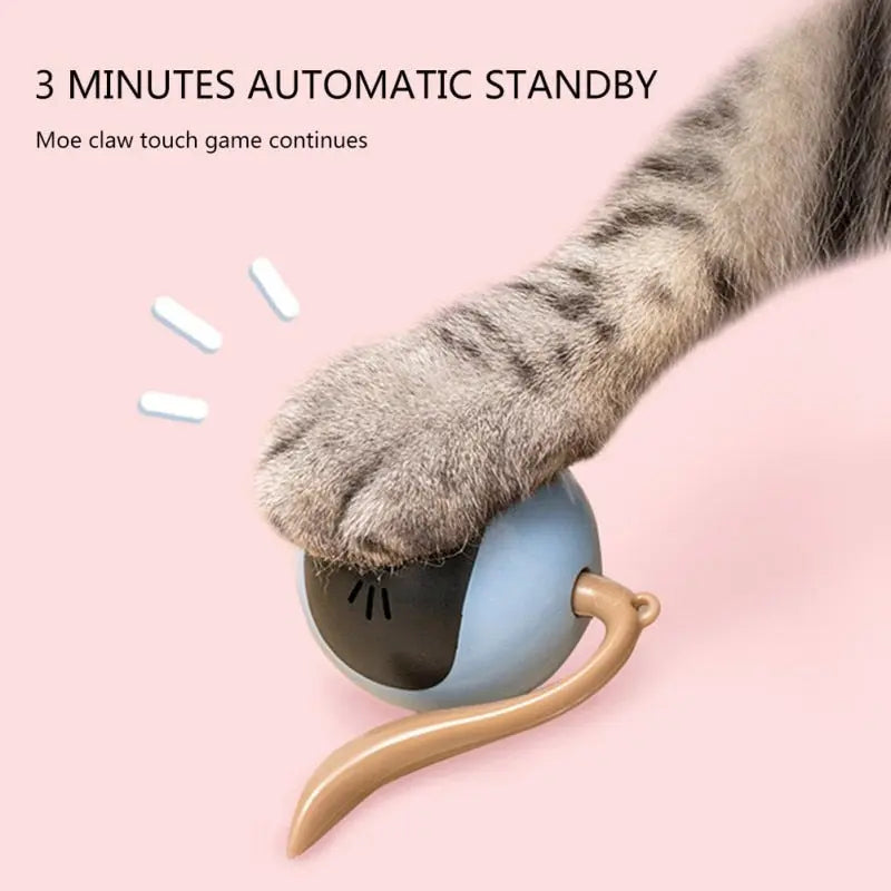 SELF ROTATING CAT TOY - Attic Puppy